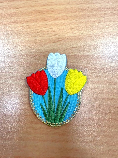 embleem tulpjes rood wit geel Oeteldonk